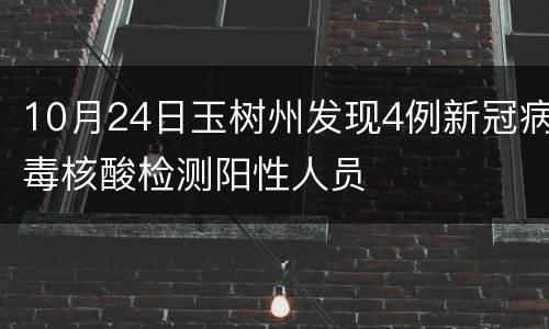 10月24日玉树州发现4例新冠病毒核酸检测阳性人员