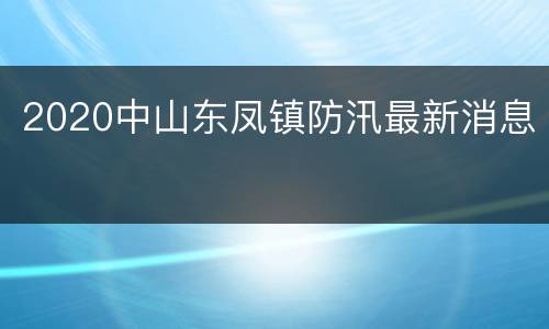 2020中山东凤镇防汛最新消息
