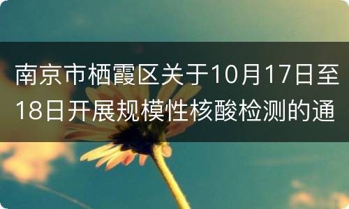 南京市栖霞区关于10月17日至18日开展规模性核酸检测的通告