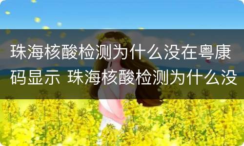 珠海核酸检测为什么没在粤康码显示 珠海核酸检测为什么没在粤康码显示呢