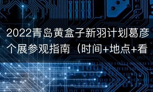 2022青岛黄盒子新羽计划葛彦个展参观指南（时间+地点+看点）