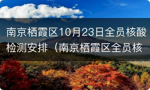 南京栖霞区10月23日全员核酸检测安排（南京栖霞区全员核酸检测点）