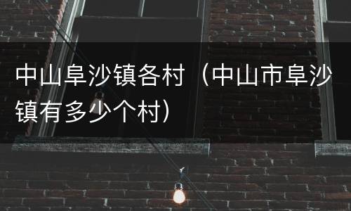 中山阜沙镇各村（中山市阜沙镇有多少个村）