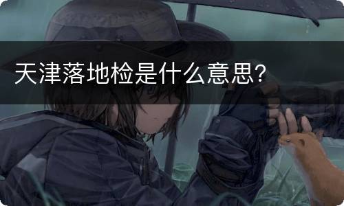 天津落地检是什么意思？