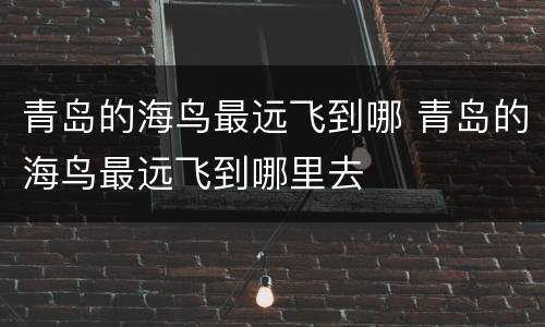 青岛的海鸟最远飞到哪 青岛的海鸟最远飞到哪里去