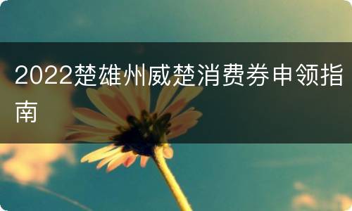 2022楚雄州威楚消费券申领指南