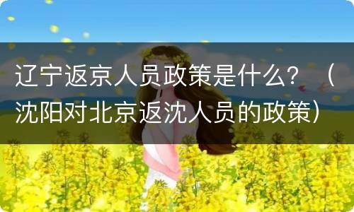 辽宁返京人员政策是什么？（沈阳对北京返沈人员的政策）