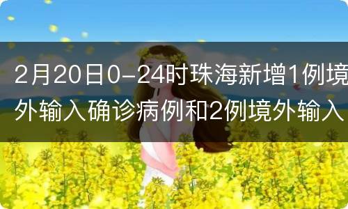 2月20日0-24时珠海新增1例境外输入确诊病例和2例境外输入无症状感染者