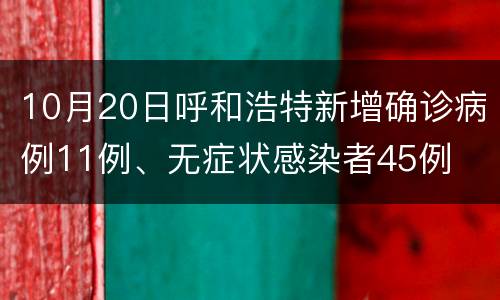 10月20日呼和浩特新增确诊病例11例、无症状感染者45例