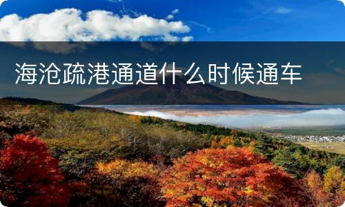 海沧疏港通道什么时候通车