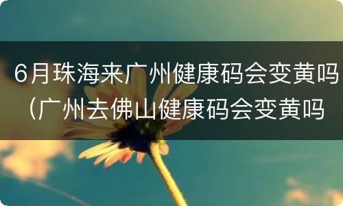 6月珠海来广州健康码会变黄吗（广州去佛山健康码会变黄吗）