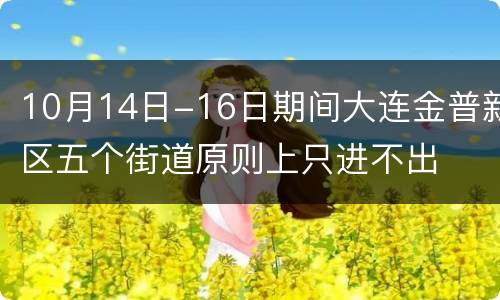 10月14日-16日期间大连金普新区五个街道原则上只进不出