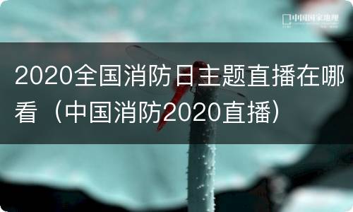 2020全国消防日主题直播在哪看（中国消防2020直播）