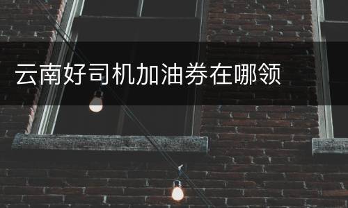 云南好司机加油券在哪领