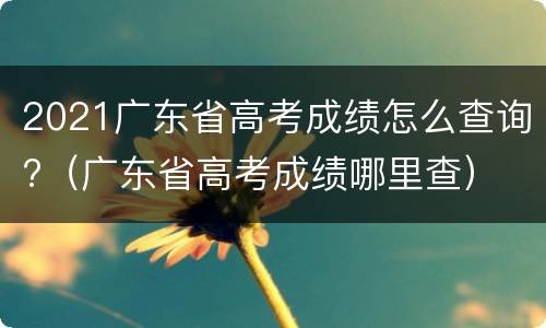 2021广东省高考成绩怎么查询?（广东省高考成绩哪里查）