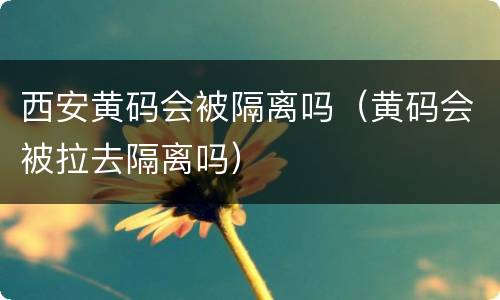 西安黄码会被隔离吗（黄码会被拉去隔离吗）