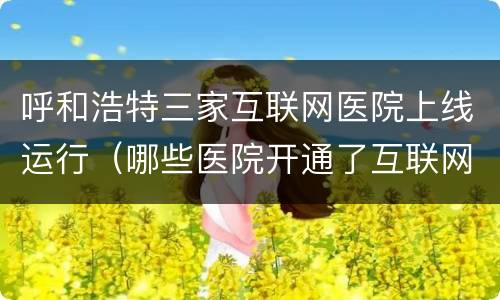呼和浩特三家互联网医院上线运行（哪些医院开通了互联网医院）