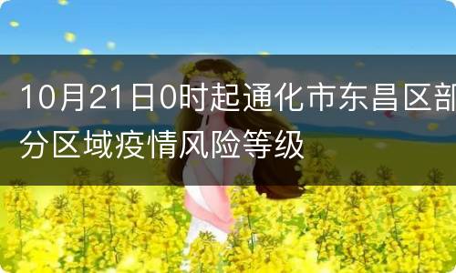 10月21日0时起通化市东昌区部分区域疫情风险等级
