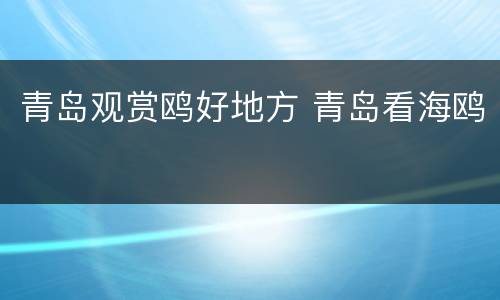 青岛观赏鸥好地方 青岛看海鸥